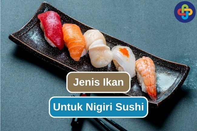 Jenis Ikan Terbaik untuk Dijadikan Nigiri Sushi
